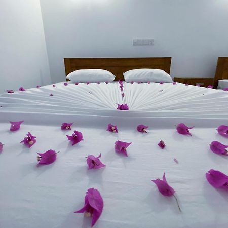 Yala Safari Green Home Stay Tissamaharama Zewnętrze zdjęcie