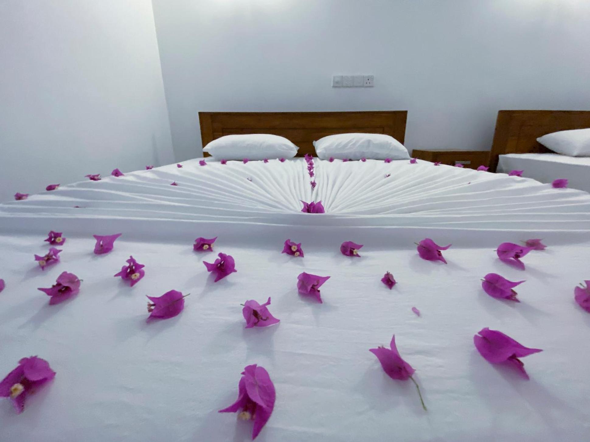 Yala Safari Green Home Stay Tissamaharama Zewnętrze zdjęcie